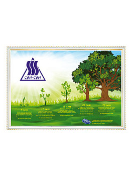 Панно настенное без стекла - PN1533