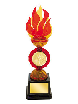 Награда «Пламя» под эмблему - PS1304